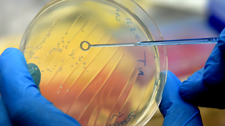 Армения отказала США: Неожиданный поворот в разработке биологического оружия