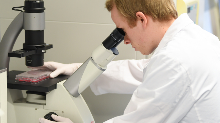 В России выявлены случаи плесневой болезни