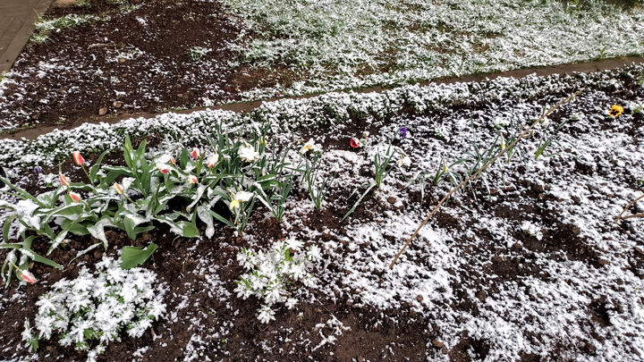 В Новосибирске 25 сентября возможен первый снег
