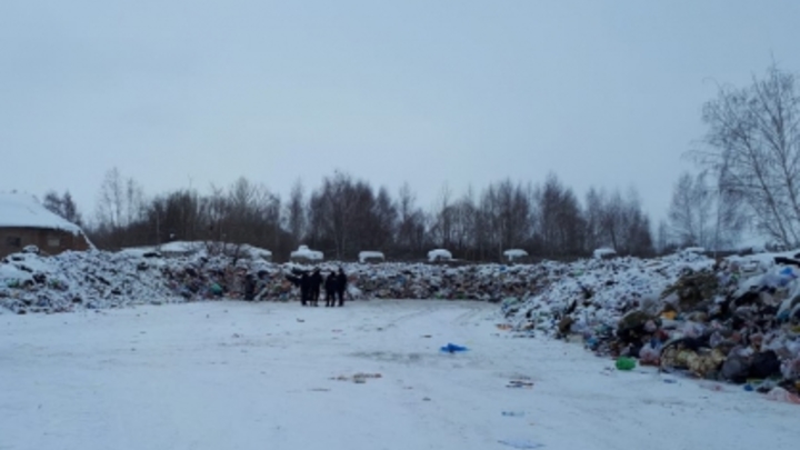 В Самарской области следователи задержали мать, выбросившую младенца на свалку