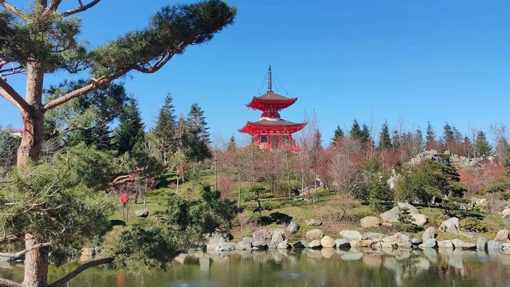 Японский сад парка Краснодар ежедневно посещают около четырёх тысяч человек