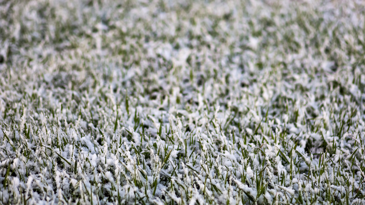 Мокрый снег и -2°. Рабочая неделя в Кузбассе начнется с похолодания