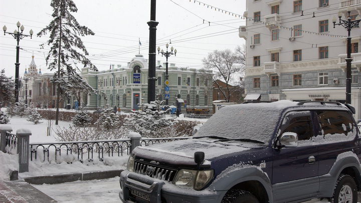 На хабаровскую активистку возбудили дело о госизмене за помощь ВСУ