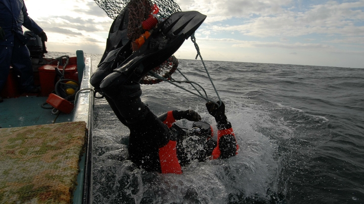Невероятный золотой шар подняли со дна океана и разрезали. Загадок стало ещё больше