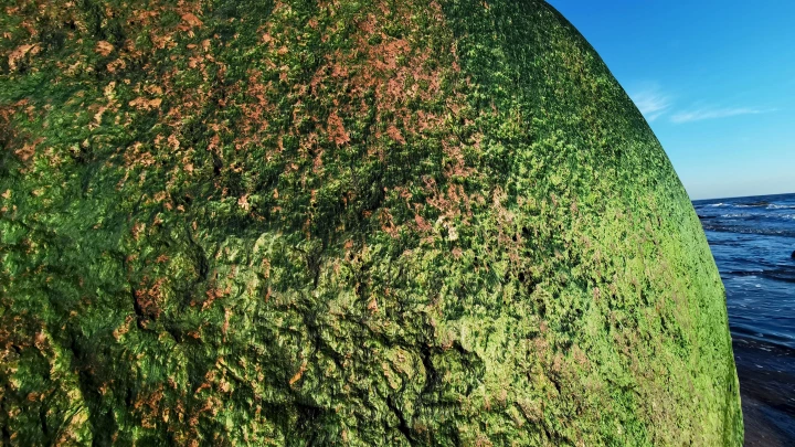 Огромный валун размером с дом остановила бетонная стена на пути к Красной Поляне