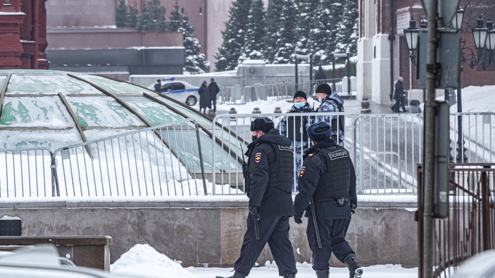 СК не возбудит дело против силовика, который применил силу к Юдиной на несанкционированной акции