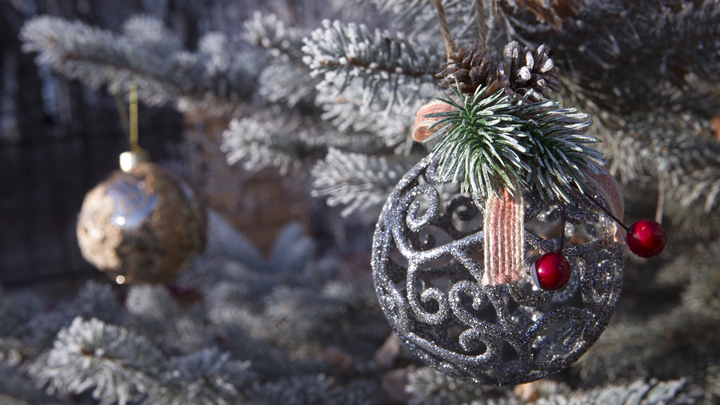 Главная новогодняя елка в Кишиневе зажжется 1 декабря