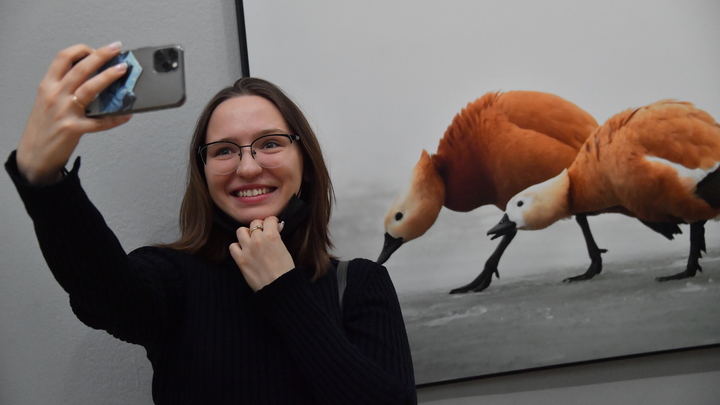 Продюсер назвал преимущество русских соцсетей для блогеров: Возможности уравнялись