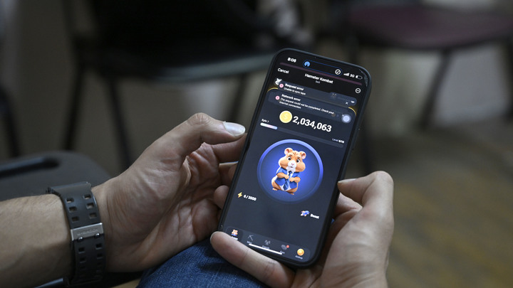 Чем грозит тапанье хомяка с помощью массажёра: Терапевт предупредил о серьёзной проблеме