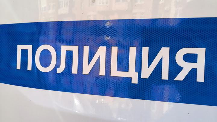 В Петербурге мигрант сбил девочку и начал приставать к ней: возбуждено уголовное дело