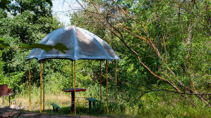 Название не соответствовало сути: в Анапе закрыли лагерь Счастливое детство, где орудовал педофил