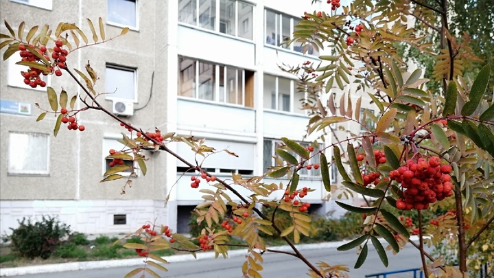 В Самарской области объявили жёлтый уровень опасности