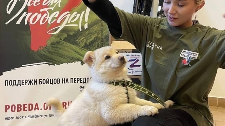 Новое место дислокации Пули:  Бездомный из Челябинска отправится на ZOV-операцию