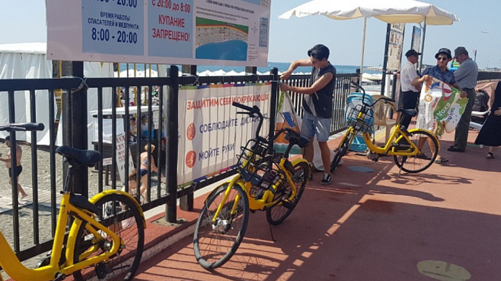 Здесь даже полицейские не носят маски: Илья Варламов раскритиковал Сочи