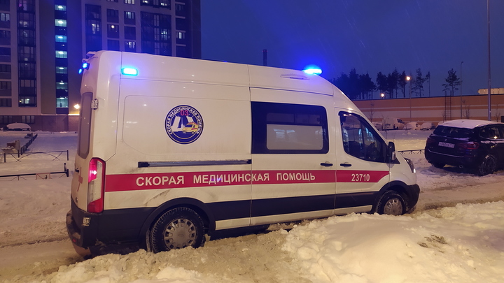 Пик заболеваемости - к Новому году: Число вызовов скорой на Алтае побило ковидные рекорды