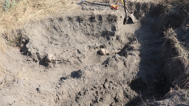 На Кубани обнаружили захоронение мирных жителей, убитых нацистами в годы ВОВ