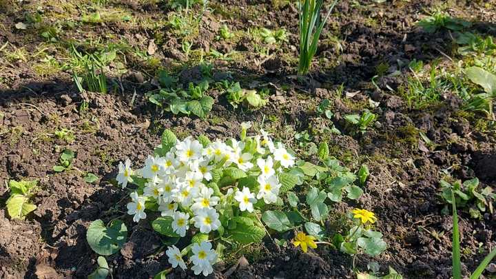 На Кубани до конца недели сохранится теплая погода