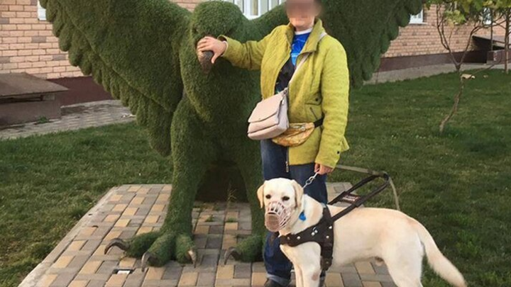 Да он сам виноват: незрячая девушка регулярно била собаку-поводыря