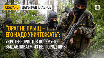“Враг не прыщ – его надо уничтожать”: Укротеррористов почему-то выдавливаем из Белгородчины