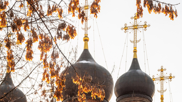 Избран новый Первоиерарх Русской Зарубежной Церкви: Епископ Манхэттенский Николай