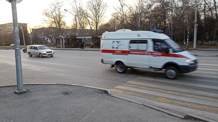 В Новокузнецке  погиб сорвавшийся с дерева подросток