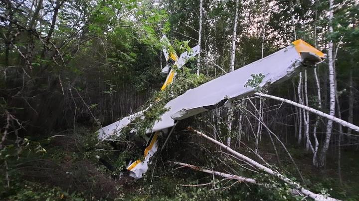 Опубликованы кадры с места падения самолёта Cessna под Новосибирском