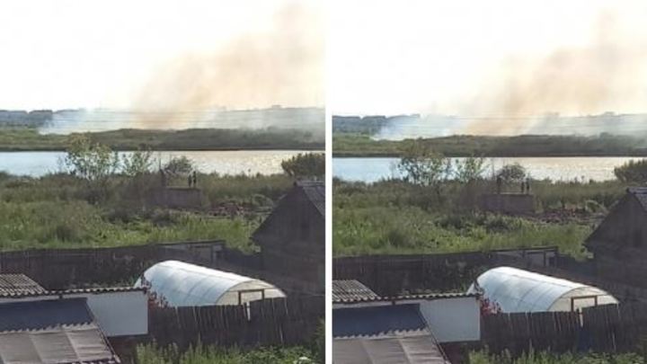 В Кургане горящие камыши подбираются к жилым домам