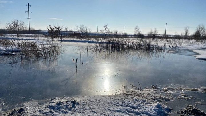 Зловонное озеро под Новосибирском нашли сотрудники Россельхознадзора