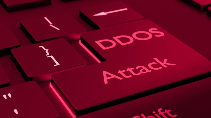 Прихлопнули рассадник: Как закрывали проект по организации DDoS-атак
