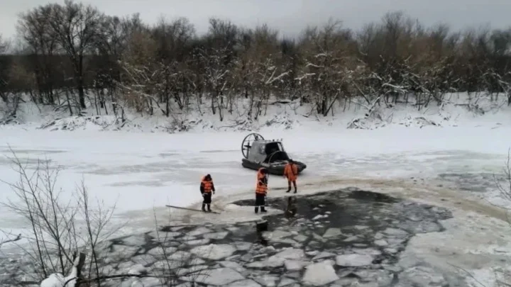 В Башкирии из всего стада, провалившегося под лёд, выжила одна овца