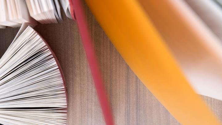 Извращенцы посягнули на детей и Конституцию: Лето в пионерском галстуке тянет на новую уголовку