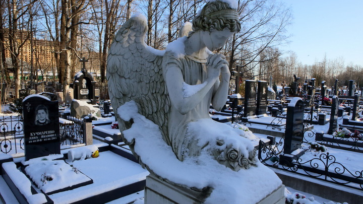 Вирус передаётся на похоронах: В Германии за день коронавирусом заразились 4,6 тысячи человек