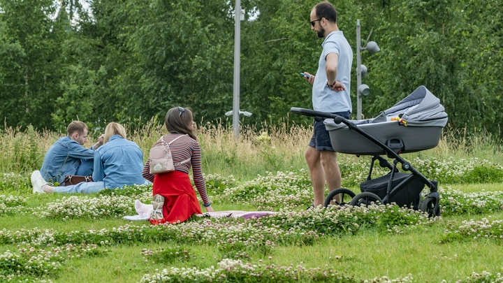 Семья в группе риска: многодетных в России сделали целью для проверок