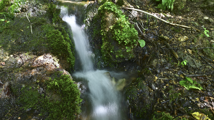 Кубань заняла первое место по ЮФО в Национальном экологическом рейтинге
