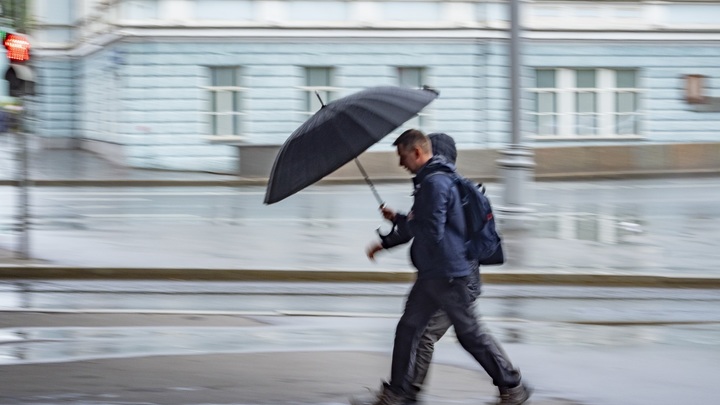 Ленобласть предупредили о штормовом ветре