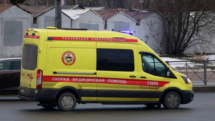 В Химках девочку жестоко избили в школе