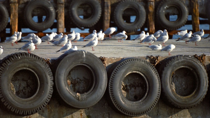 Автоэксперт дал советы по смене колёс на зимние