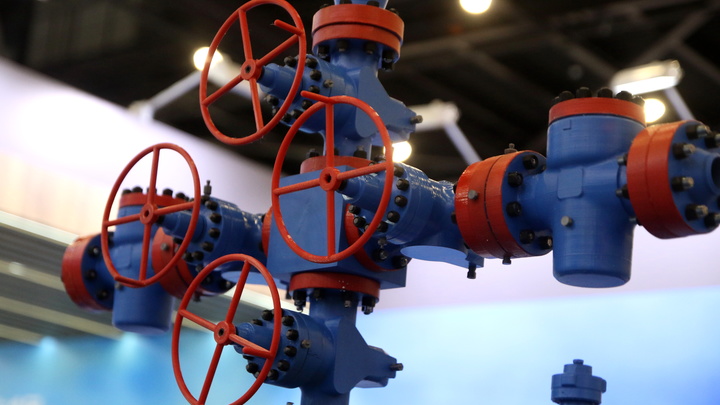 Зондировала почву: Немецкий политик объяснил, что значили слова Меркель о русском газе