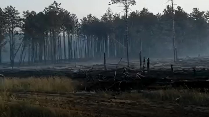 Лесной пожар в Каменском районе локализовали