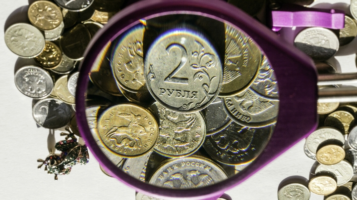 Рука в кармане работающих людей: Что подорожает в 2021 году?