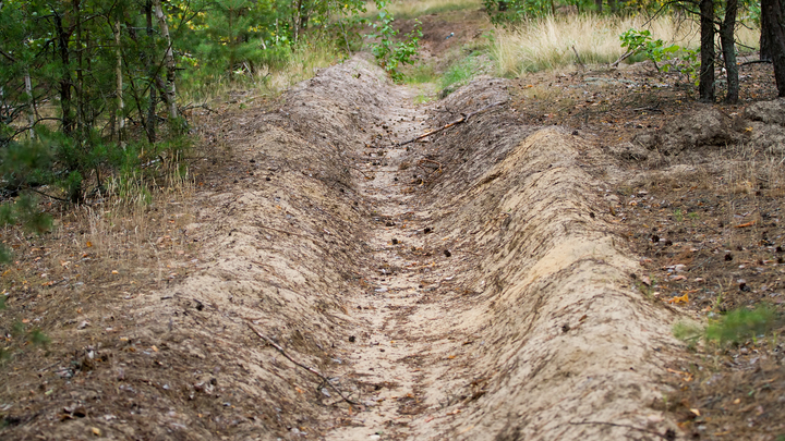В Самарской области продлен запрет на посещение лесов