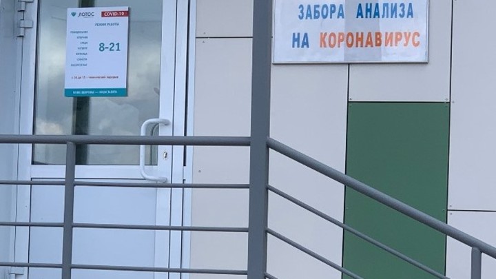 Челябинский медцентр: Вакцины от COVID — 19 нет. И от клеща тоже