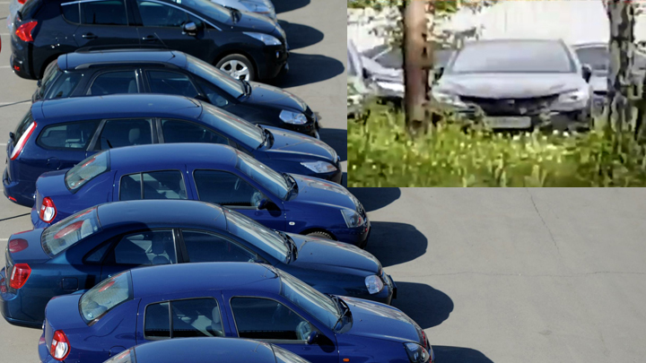 Житель Челябинска нашел в лесу полсотни правительственных иномарок