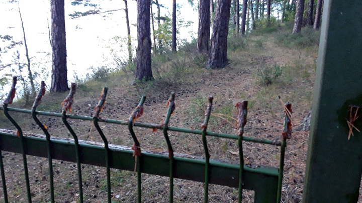 Дачники воткнули забор вокруг пляжа на Тургояке и обмазали его солидолом