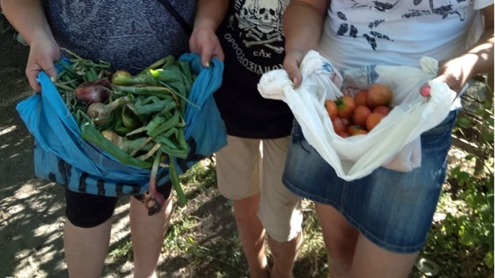 В Челябинске затравили семью с ребенком, которую застали на месте воровства