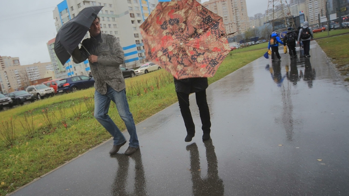 В Петербурге объявили “жёлтый” уровень погодной опасности из-за гроз и шторма