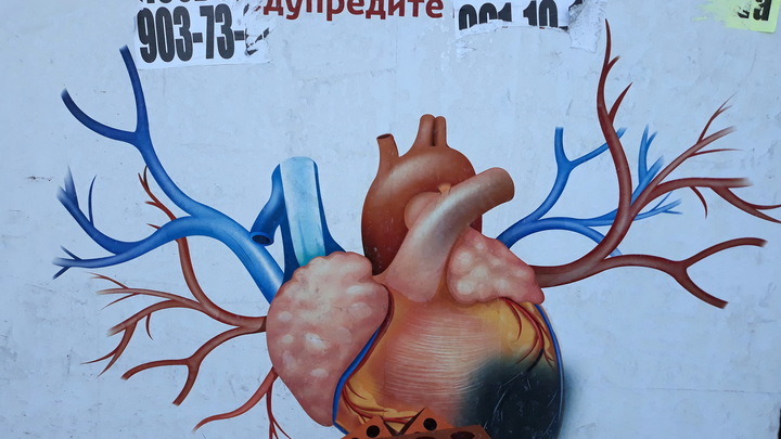 Как измерить давление без тонометра: метод пульса и маятник с гайкой