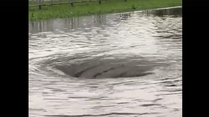 Огромный водоворот возник на центральной площади Дзержинска после дождя