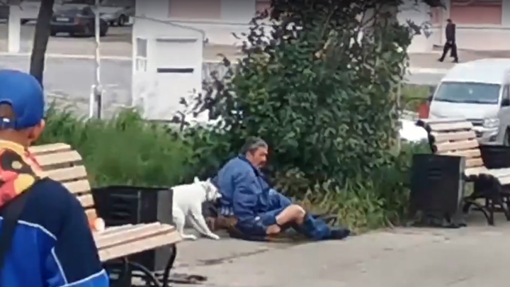 Собака отомстила за хозяйку, покусав пьяную компанию на вокзале Магнитогорска [Видео]