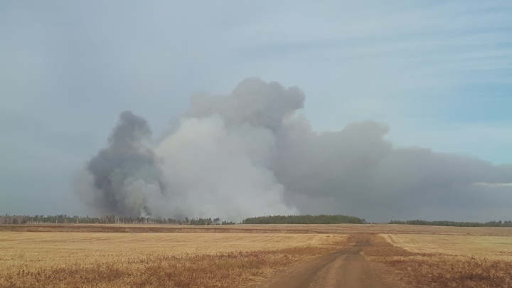 Крупный лесной пожар в Челябинской области локализован, поймали подозреваемых